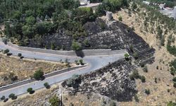 Kayseri'de otluk alanda çıkan yangın söndürüldü