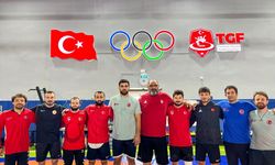 Milli güreşçiler, Macaristan'daki turnuvada mindere çıkacak