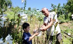 Muhtar, köy halkını alternatif üretime teşvik ediyor
