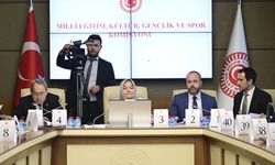 Öğrenci affına ve yükseköğretime ilişkin düzenlemeleri içeren kanun teklifi komisyonda