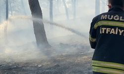 Ortaca'da ormanlık alanda çıkan yangına müdahale ediliyor