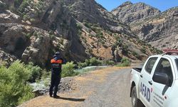 Şırnak'ta balık tutarken Habur Çayı'na düşen kişiyi arama çalışmaları sürüyor