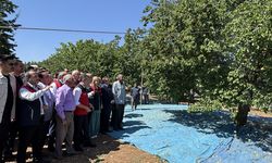 Tarım ve Orman Bakanı Yumaklı, Malatya'da kayısı hasadına katıldı: