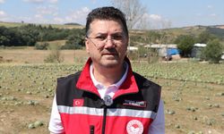 Tekirdağ'da etkili olan doludan 35 bin dekar tarım alanı zarar gördü