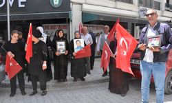 Vanlı aileler DEM Parti İl Başkanlığı önündeki eylemlerini sürdürdü