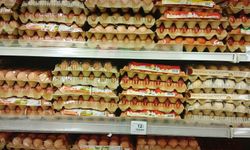 İngiltere’de salmonella salgınında 1 kişi öldü