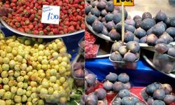 Türkiye pazarlarında yazın son renkleri