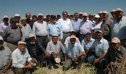 Pancara en iyi fiyat yine Konya Şeker’den