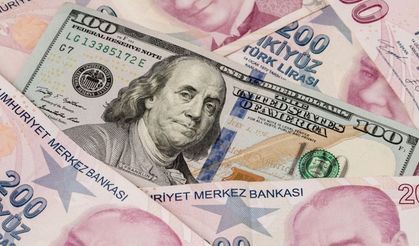 İngiliz bankalardan dolar/TL tahmini