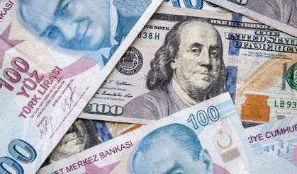 Dolar, 20 lira seviyesini aştı