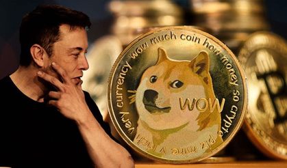 Dogecoin davasında Elon Musk'a 'içeriden bilgi ticareti' suçlaması