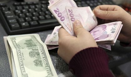 Dolar/TL 23,60'ı aştı