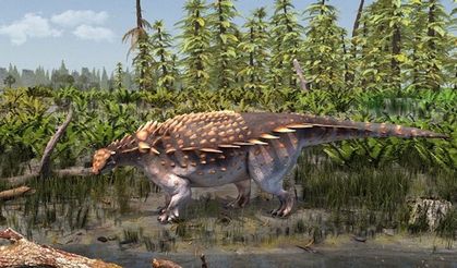 Vectipelta baretti: Yeni bir dinozor türü keşfedildi