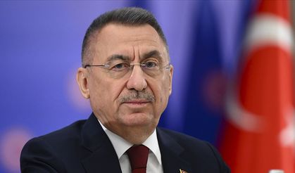 TBMM Dış İlişkiler Komisyonu Başkanı Oktay, Avrupa'daki "stratejik körlüğe" dikkati çekti