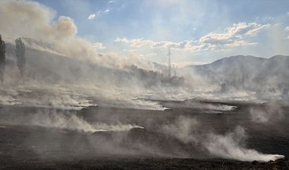GÜNCELLEME - Çorum'da ormanlık alana sıçrayan yangın söndürüldü