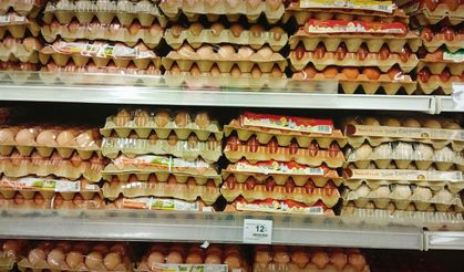İngiltere’de salmonella salgınında 1 kişi öldü