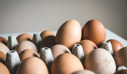 İngiltere’de salmonella salgını: Yumurtada uyarı