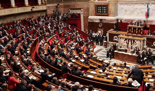Fransa'da Parlamento'dan geçen tartışmalı yeni göç yasası neler öngörüyor, Cumhurbaşkanı Macron neden eleştiriliyor?