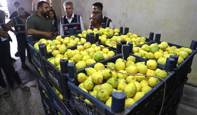 Ticaret Bakanlığı ekipleri, Mersin'de limon depolarını denetledi