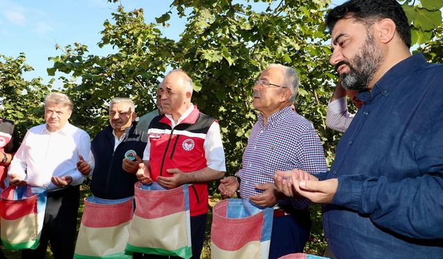 Ordu'da protokol üyeleri üreticilerle fındık hasadı gerçekleştirdi