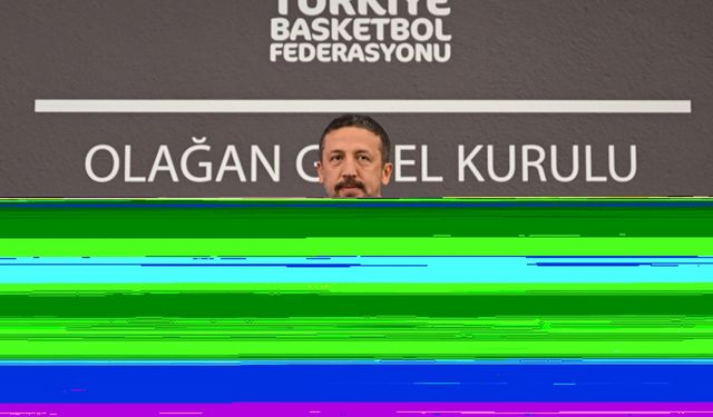 Türkiye Basketbol Federasyonu Başkanlığına Hidayet Türkoğlu yeniden seçildi