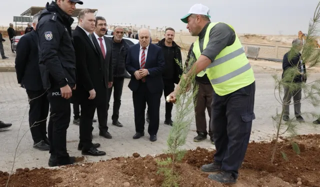 Mardin Yeşilli 2.ci OSB’de binlerce ağaç toprakla buluştu