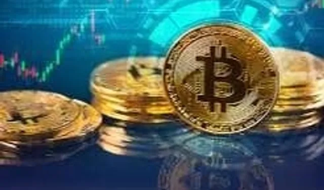 2025’te Bitcoin’in zirve yolculuğuna volatilite eşliği