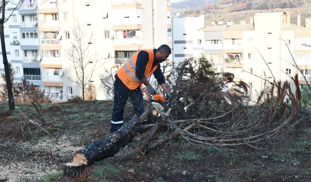 İzmir Çiğli yangın izlerini siliyor!