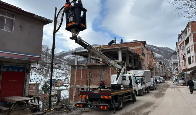 Ordu Tepealan ışıl ışıl oluyor