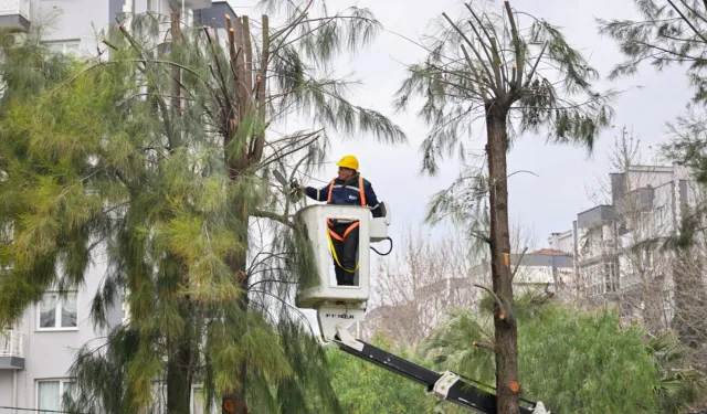 İzmir Bornova’da kışa hazırlık başladı