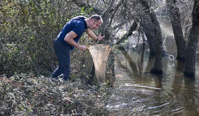 İzmir Bornova’nın doğal zenginliği gün yüzüne çıkıyor