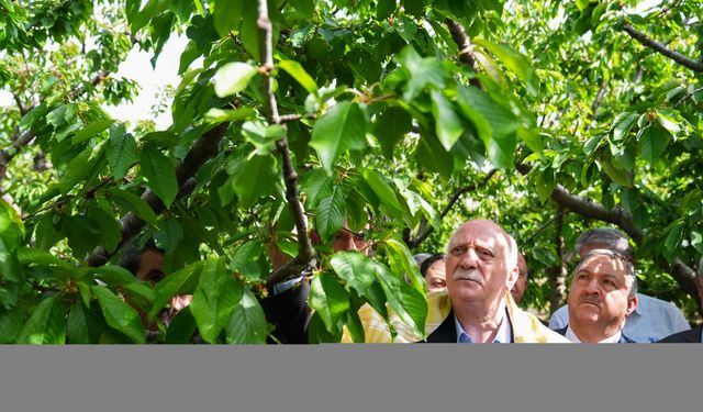 TZOB Genel Başkanı Bayraktar, İzmir'de zirai dondan etkilenen bahçeleri inceledi