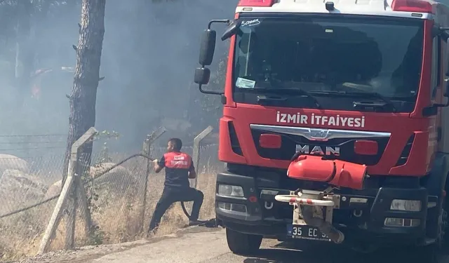 İzmir Bergama’da orman yangınına müdahale ediliyor
