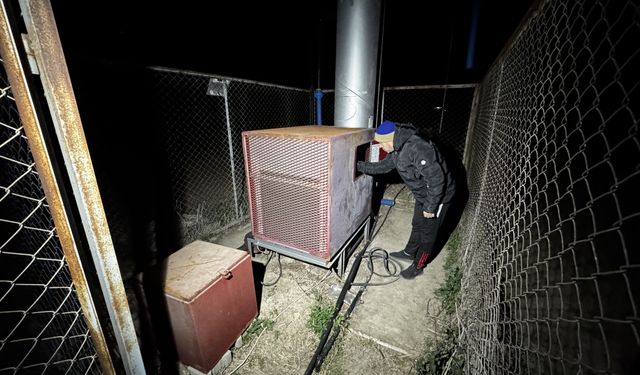 Adana'da don önleyici pervaneler narenciyeler için çalıştı