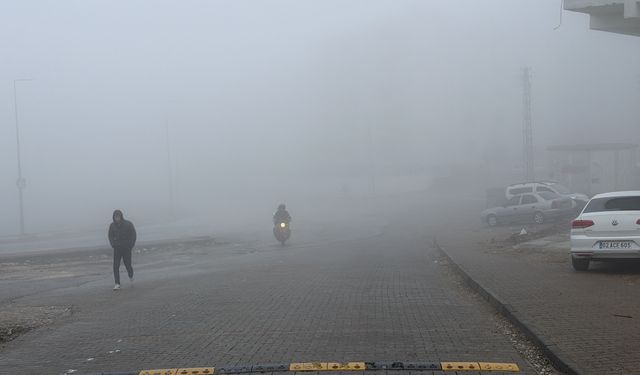 Adıyaman'da sis etkili oldu