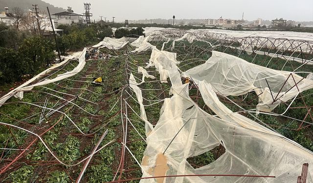 Antalya'da hortumun zarar verdiği Kumluca'da hasar tespit çalışmaları başladı