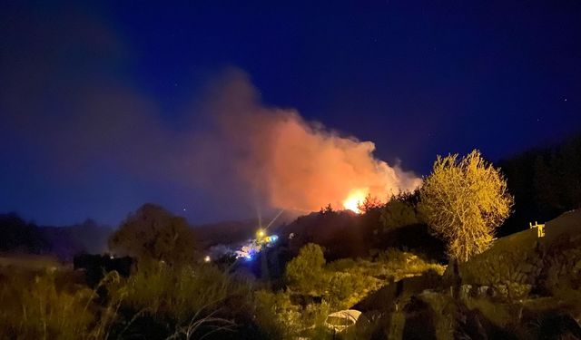 Antalya'da ormanlık alanda yangın çıktı
