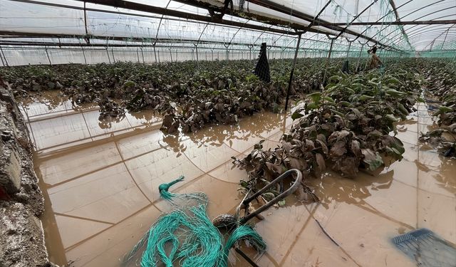 Antalya'da sağanağın hasara yol açtığı Kumluca'da tespit çalışmaları başladı