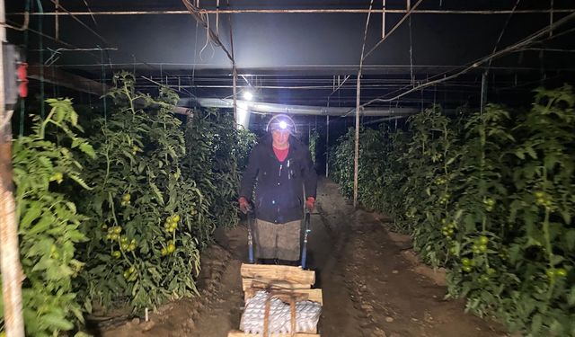 Antalya'da üreticiler seralarda zirai don nöbeti tutuyor