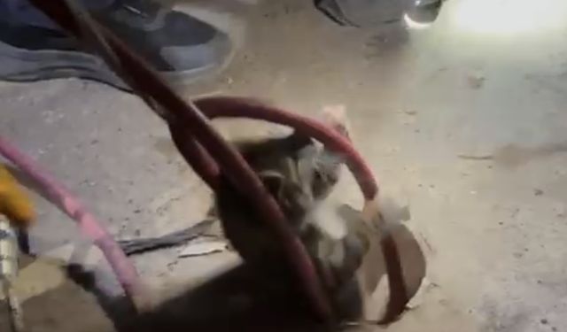 Balıkesir'de sondaj kuyusuna düşen yavru kedi kurtarıldı