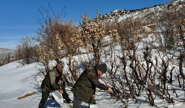 Batman'da kuşlar için doğaya yem bırakıldı