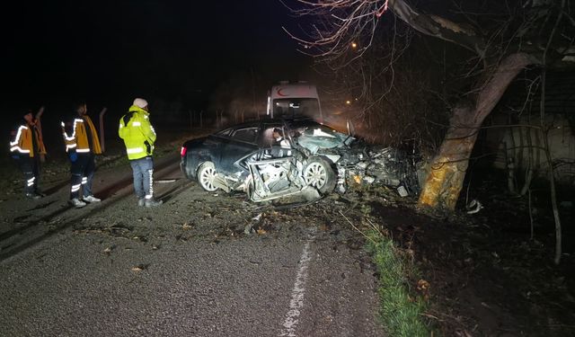 Bursa'da ağaca çarpan otomobildeki 2 kişi öldü, 2 kişi yaralandı