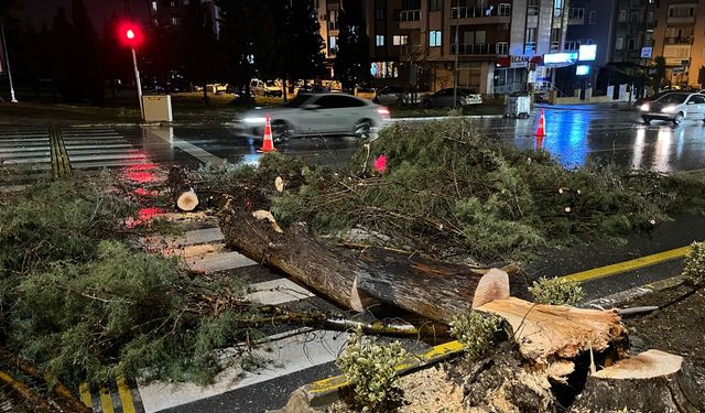 Denizli'de kuvvetli rüzgar etkili oldu