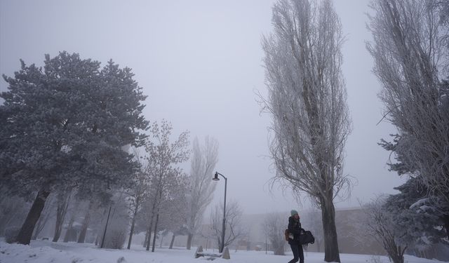 Doğu Anadolu'da 5 ilde soğuk hava ve sis etkili oluyor