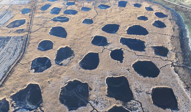 Edirne'deki Göl Baba sulak alanı buz tuttu
