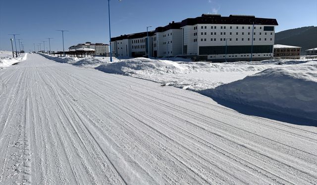Erzurum, Kars, Ağrı ve Ardahan'da dondurucu soğuklar etkisini sürdürüyor