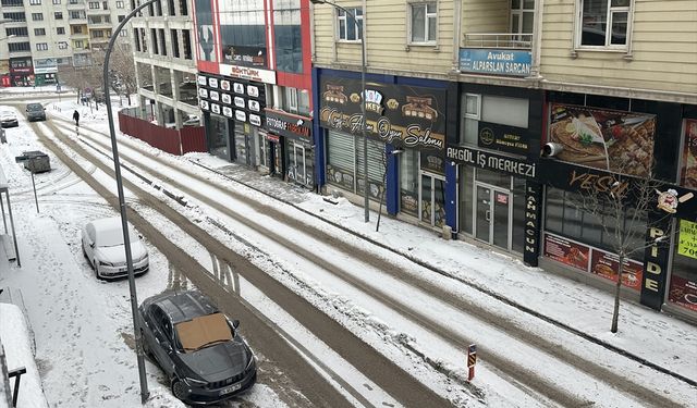 Erzurum, Kars, Ardahan ile Iğdır'da kar yağışı ve soğuk hava etkili oluyor