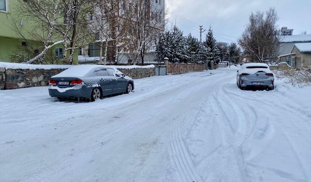 Erzurum, Kars, Ardahan ve Ağrı'da olumsuz hava koşulları etkili oluyor