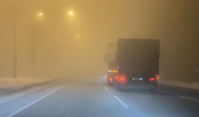 Erzurum'da yoğun sis etkili oldu