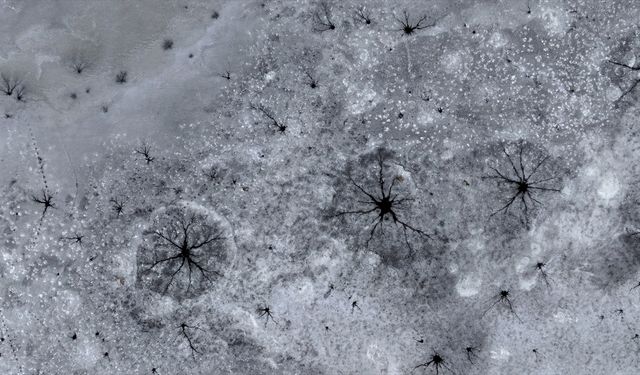 Gümüşören Barajı'nda soğuğun etkisiyle oluşan ve göz bebeklerine benzeyen buz oluşumları görüntülendi